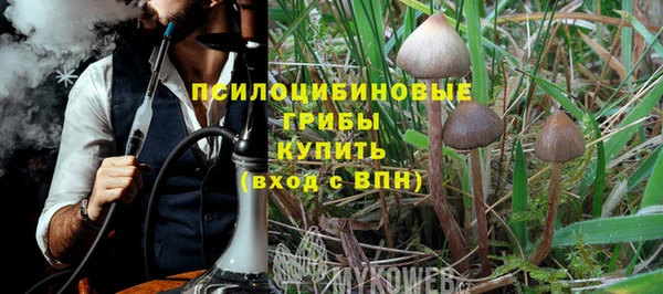 МДПВ Абдулино