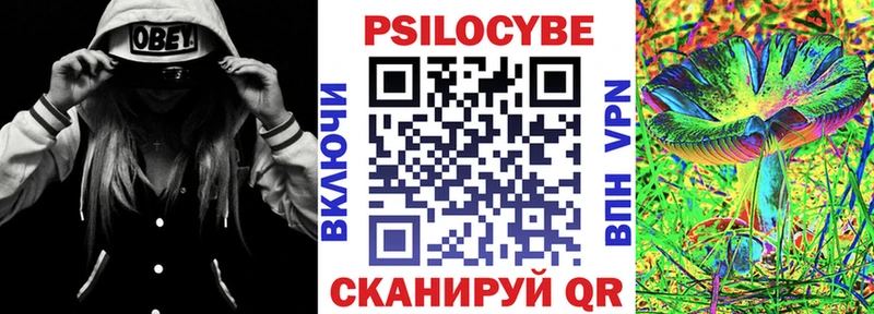 дарнет шоп Нариманов KRAKEN ссылка Псилоцибиновые грибы Magic Shrooms